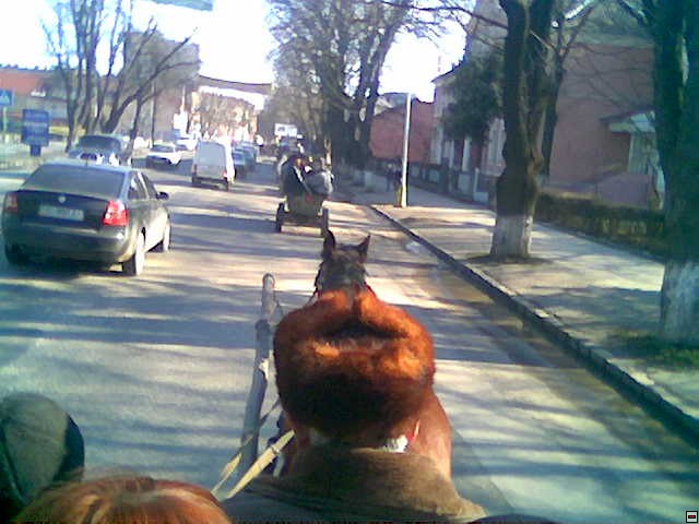 Obraz010.jpg