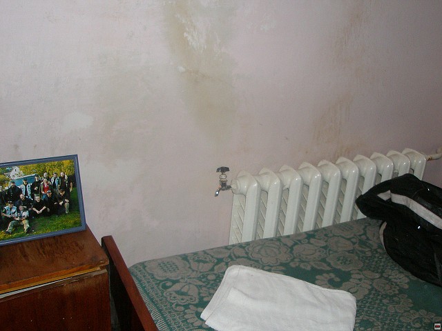 P2080231.jpg