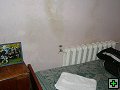 thn_P2080231.jpg