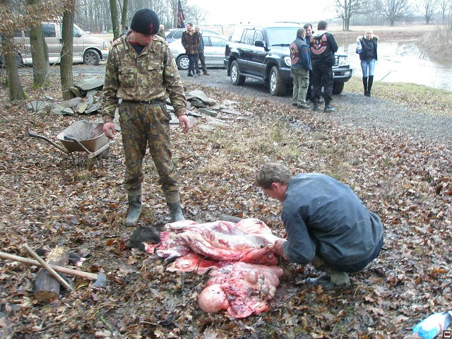 img00030.jpg
