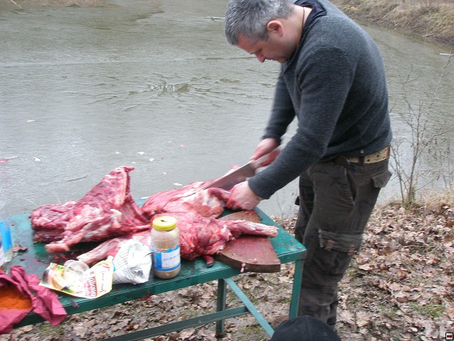 img00031.jpg