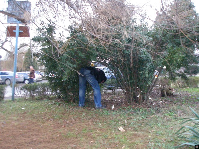 img00034.jpg