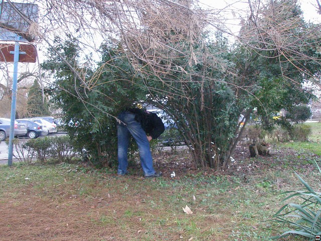 img00035.jpg