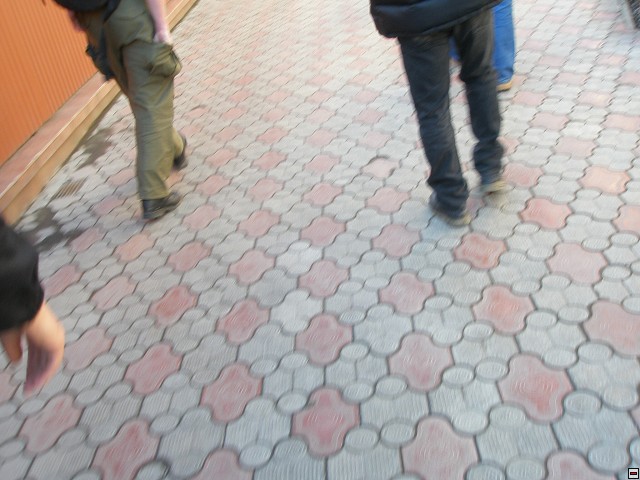 img00051.jpg