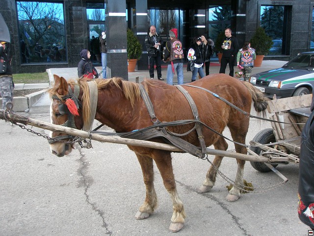 img00054.jpg