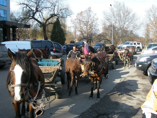 img00059.jpg