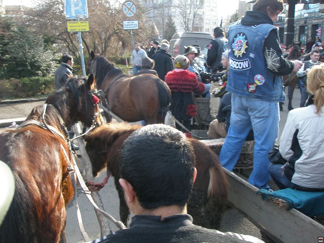 img00060.jpg