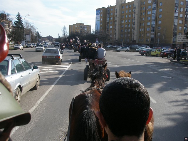 img00061.jpg