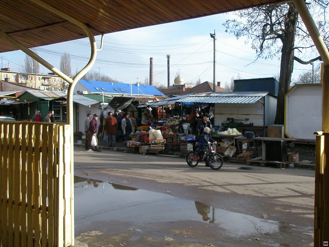 img00064.jpg
