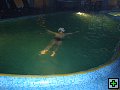 thn00071.jpg
