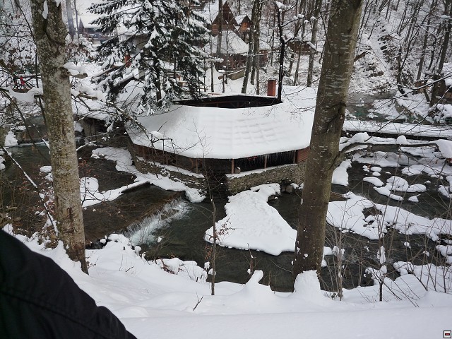 img00043.jpg