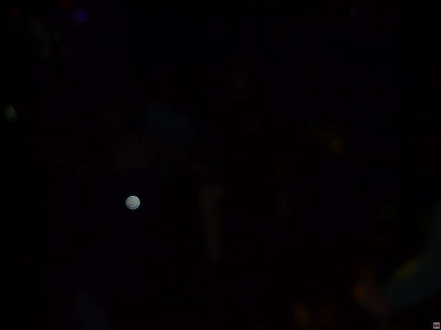 img00128.jpg