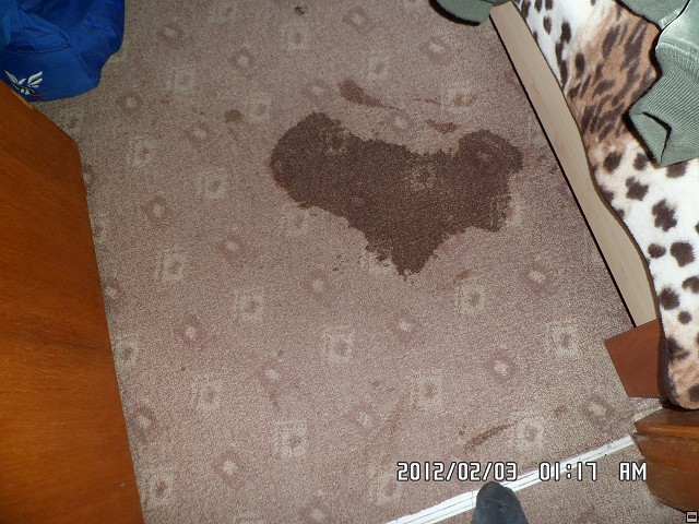 img00067.jpg